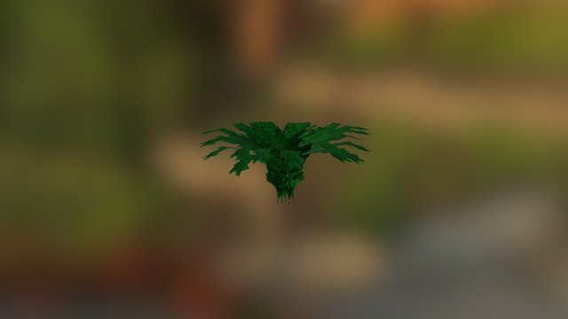 Fern Tree 3D Model