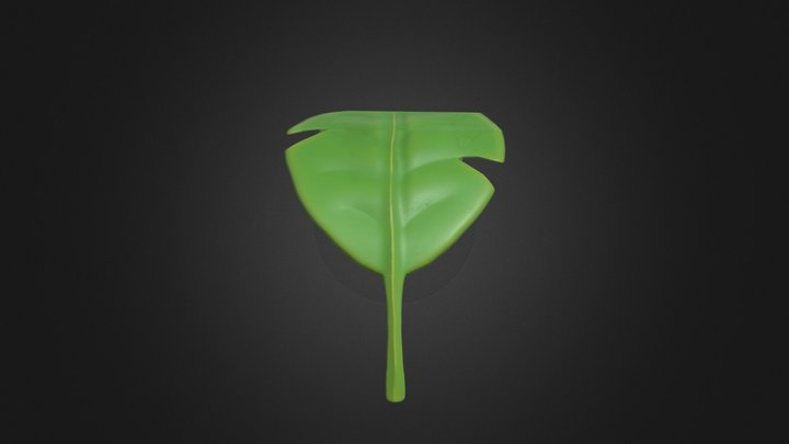 Leaf B 3D Model