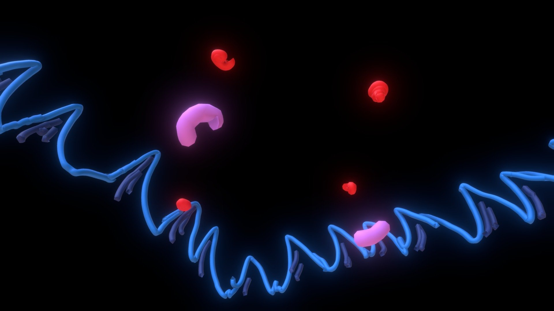 Jellyfish