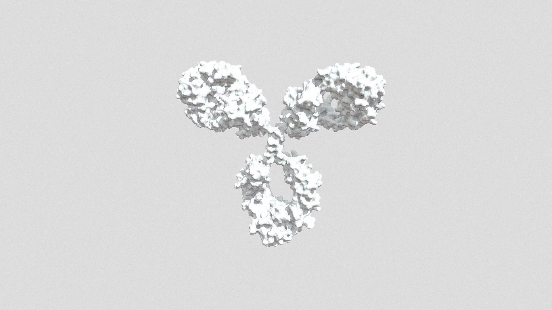 IgG1[2]-surf