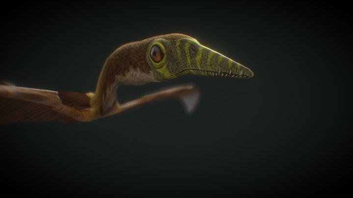 Sordes Pilosus – Free 3D Model STL