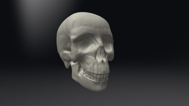 Skull sculpting practice 3D Model