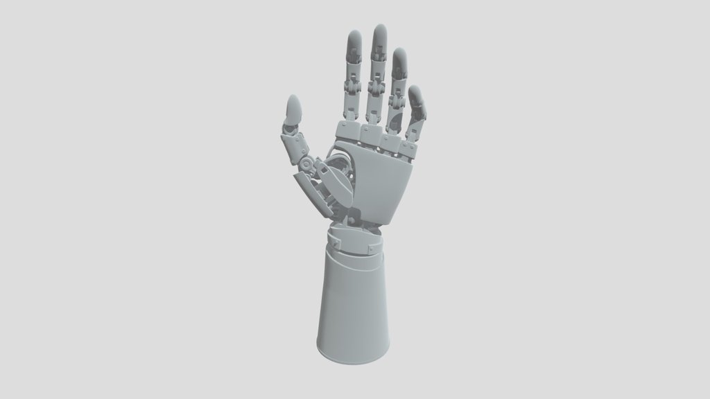 The robotic Hand