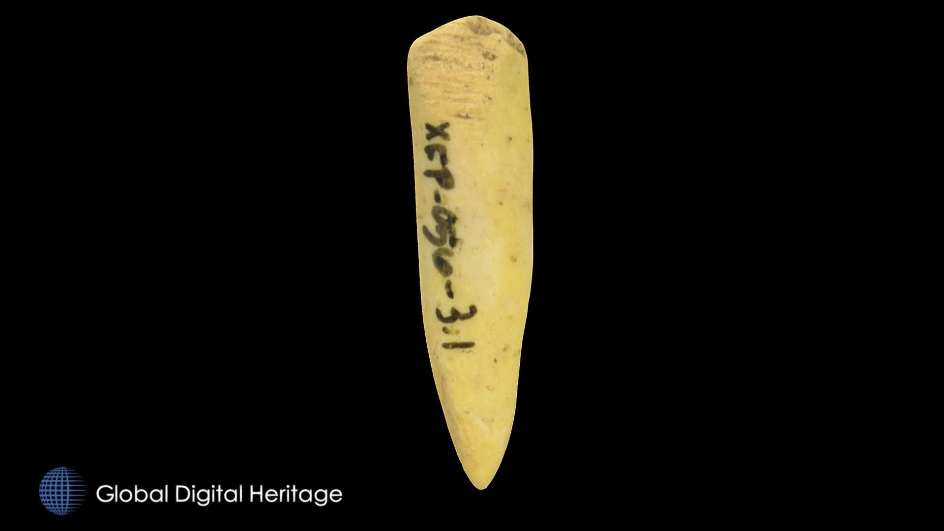 XFP-056 Burnishing tool, Sanak Island, Alaska.