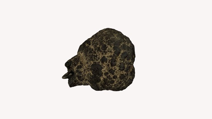 Manganese / Polymetallic Nodule 3D Model