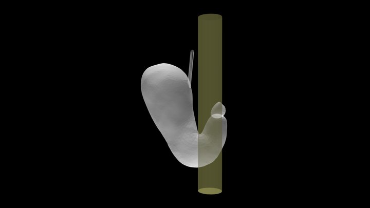 tsu_fook_back 3D Model