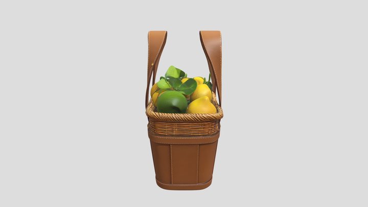 Lemon Basket Bag 3d Model 3D Model