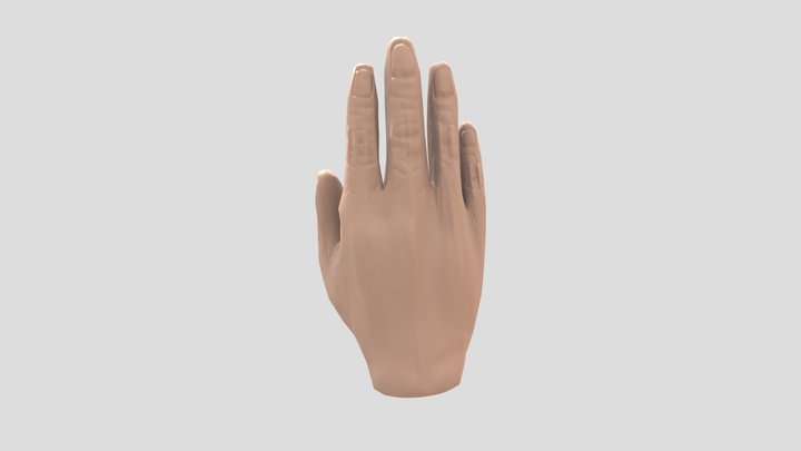 Hand Sculpt 3D Model