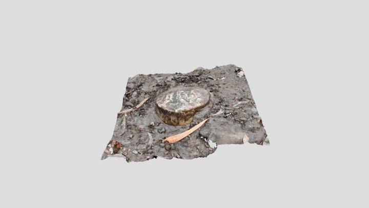 Pedra no Camiño Inglés 3D Model