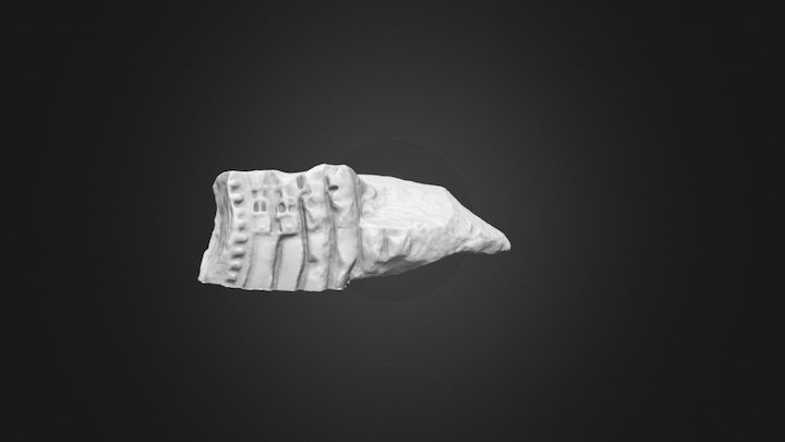 FT 417 3D Model