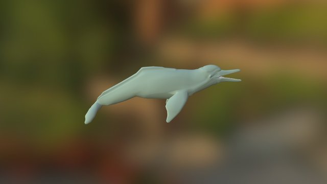 Amazon River Dolphin 3D Model