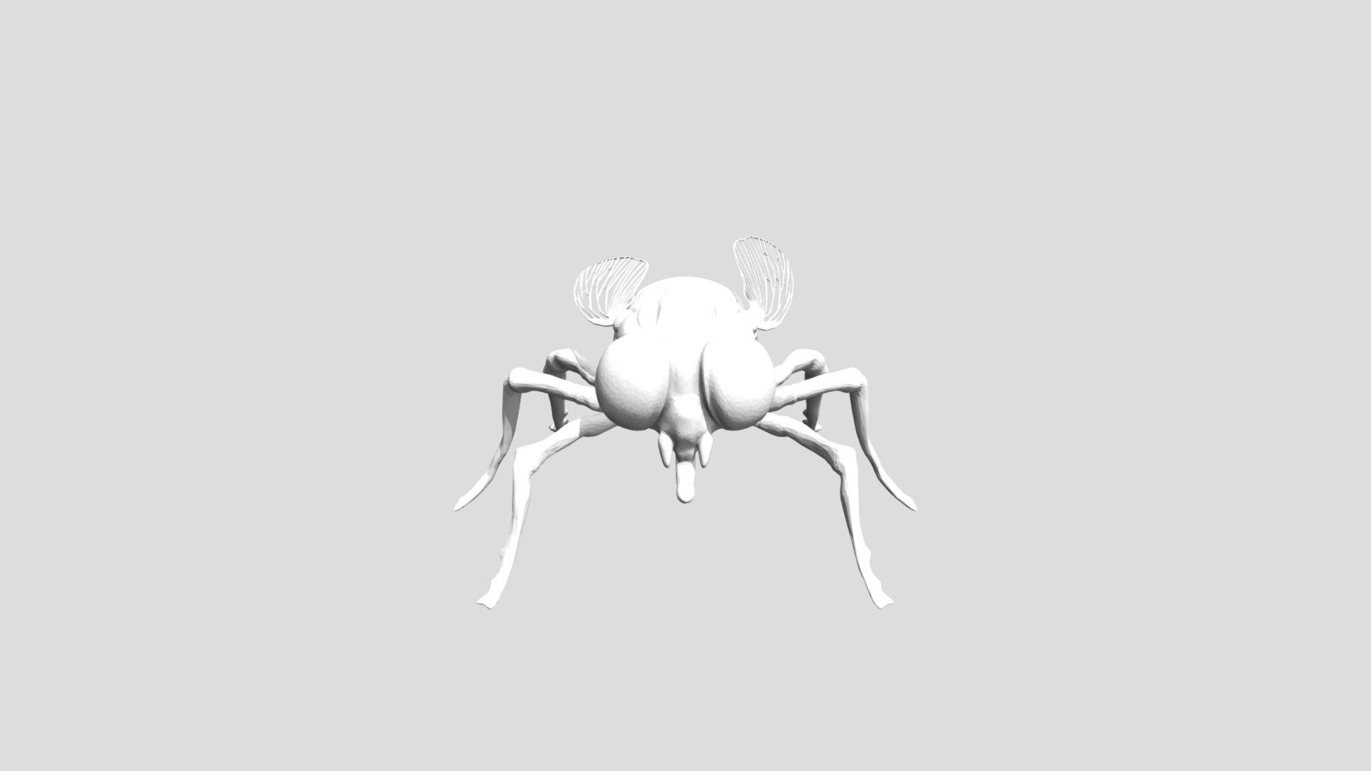 Fly