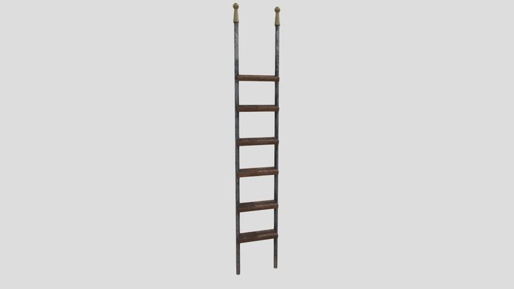 Dungeon Library Ladder 3D Model