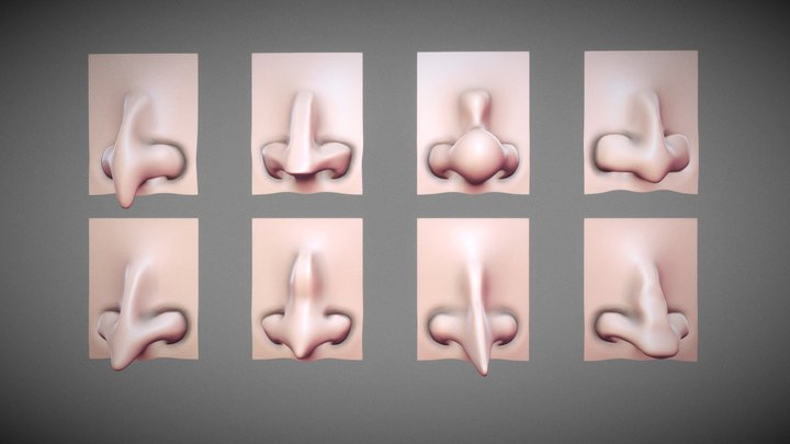 Stylized Nose pack 3D Model