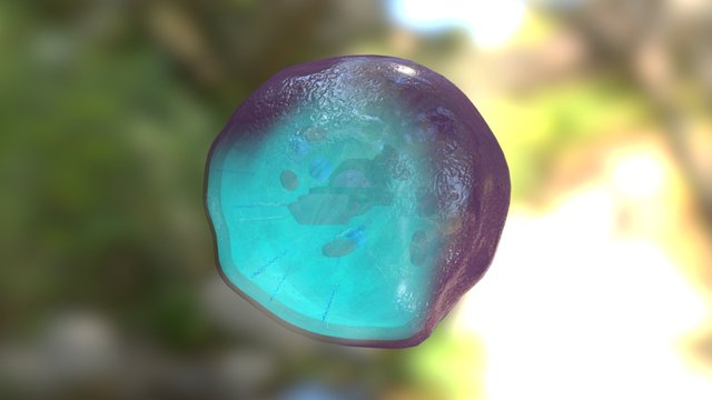 Structure of an Animal Cell (Animated) 3D Model
