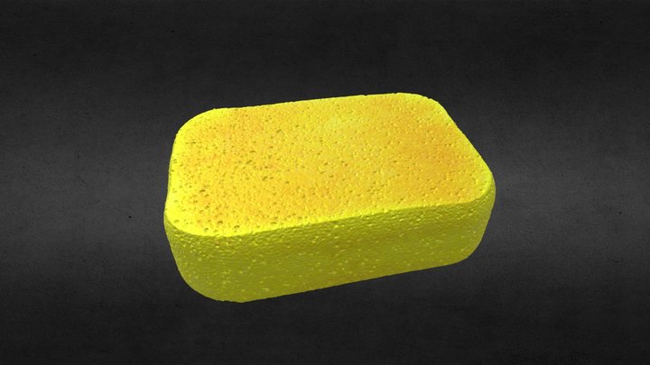 Grout Sponge 3D Model