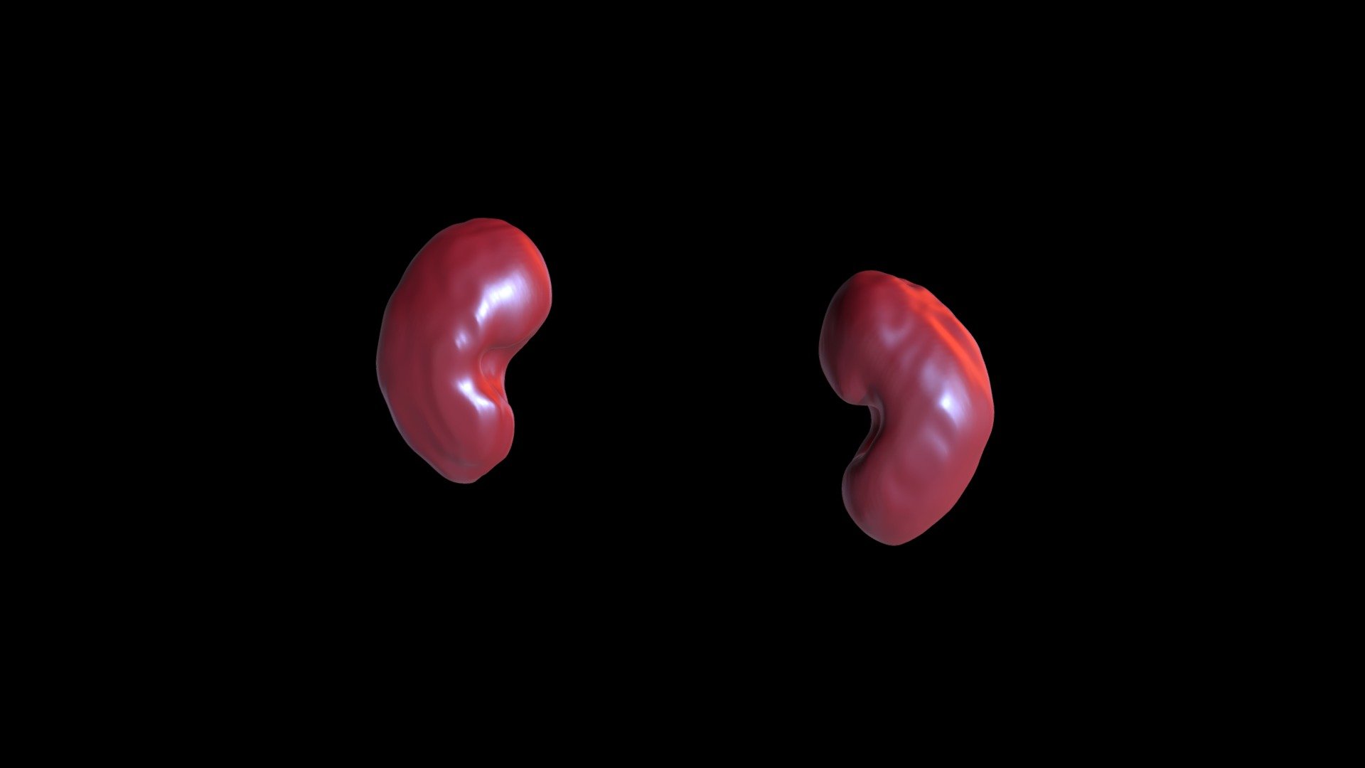 Renal Segmentation