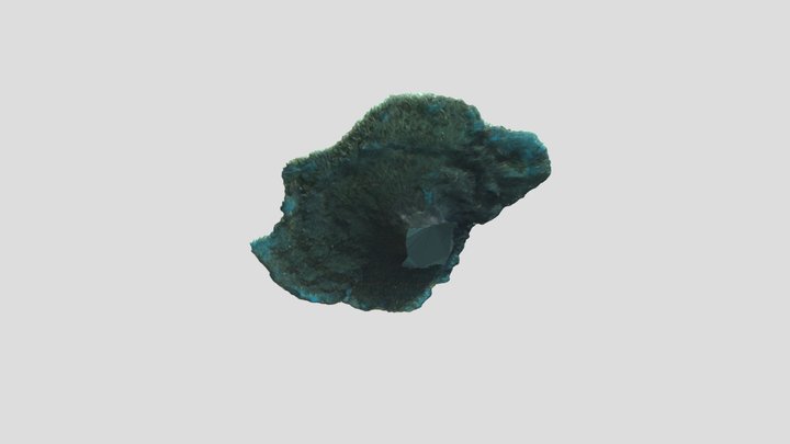 coral2014 3D Model