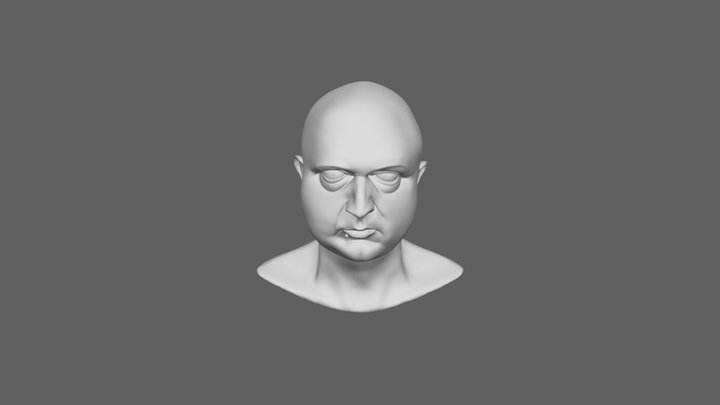 WIP Self Portrait Level 2 3D Model