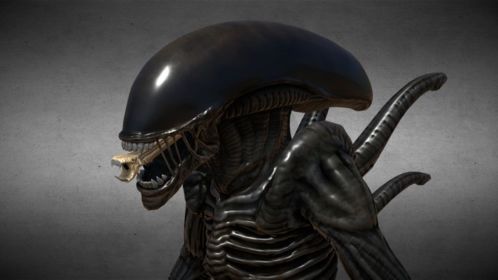 Alien vs Predator 2004 - Alien Drone Model 3D Model