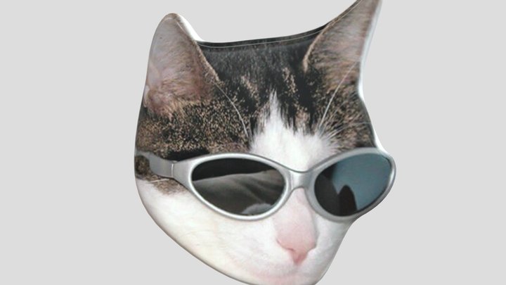 Cat 3D Model