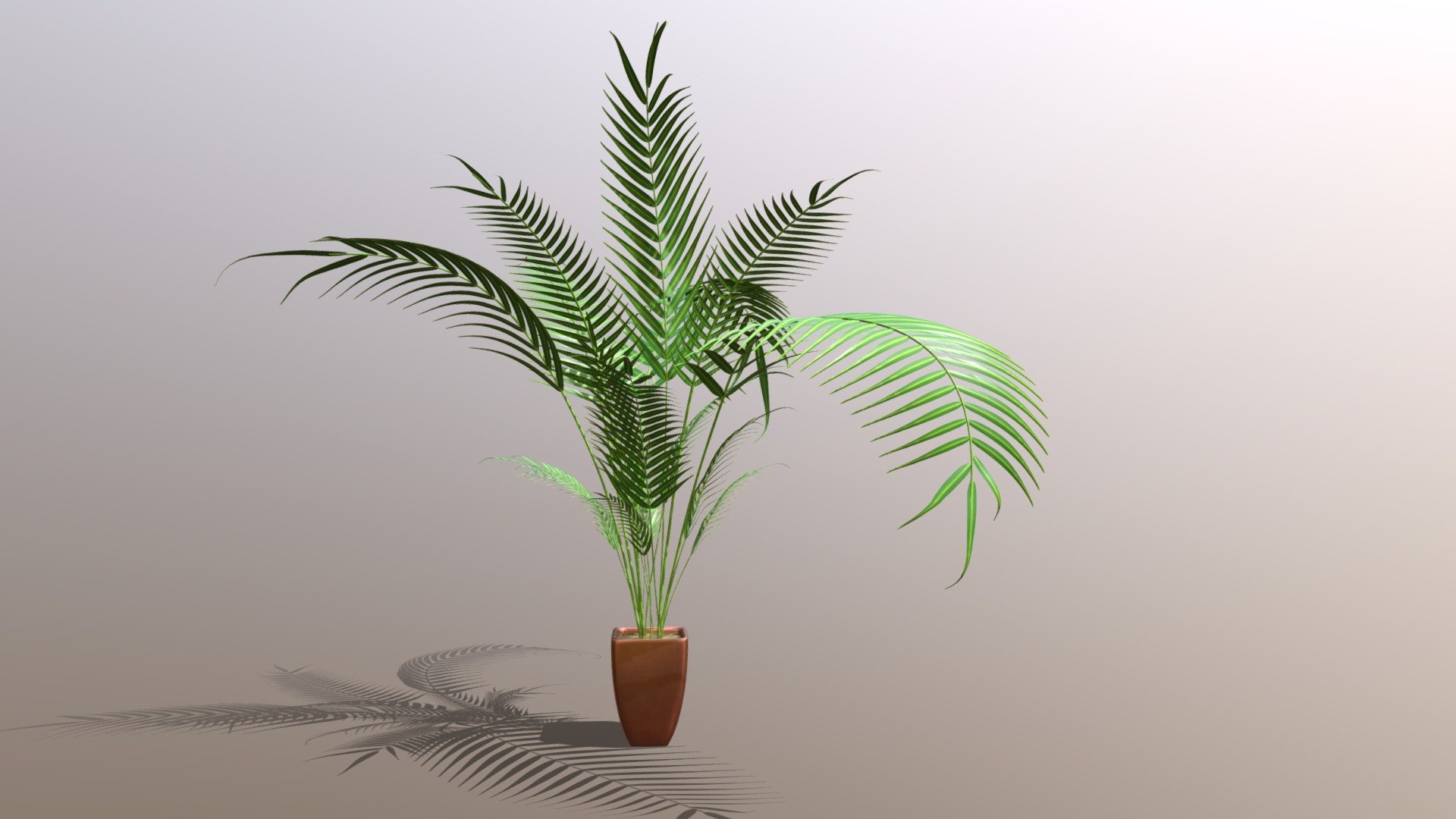 Indoor plant / Kentia palm Howea forsteriana - Buy Royalty Free 3D ...