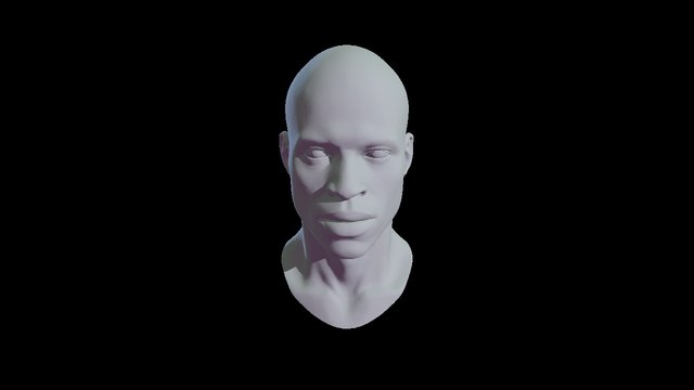 Test Bust 3D Model