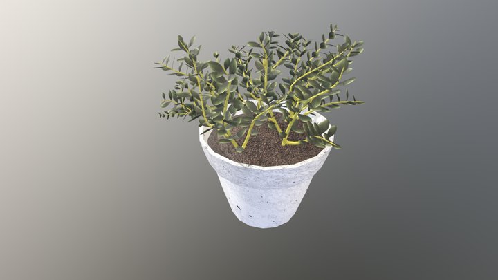 wk8_plant_3d 3D Model