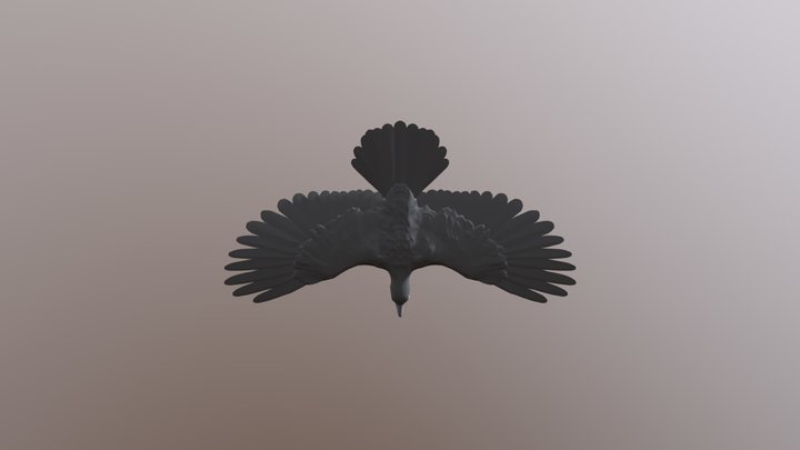 Raven 3D Model