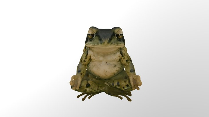 Meditating Frog 3D Model
