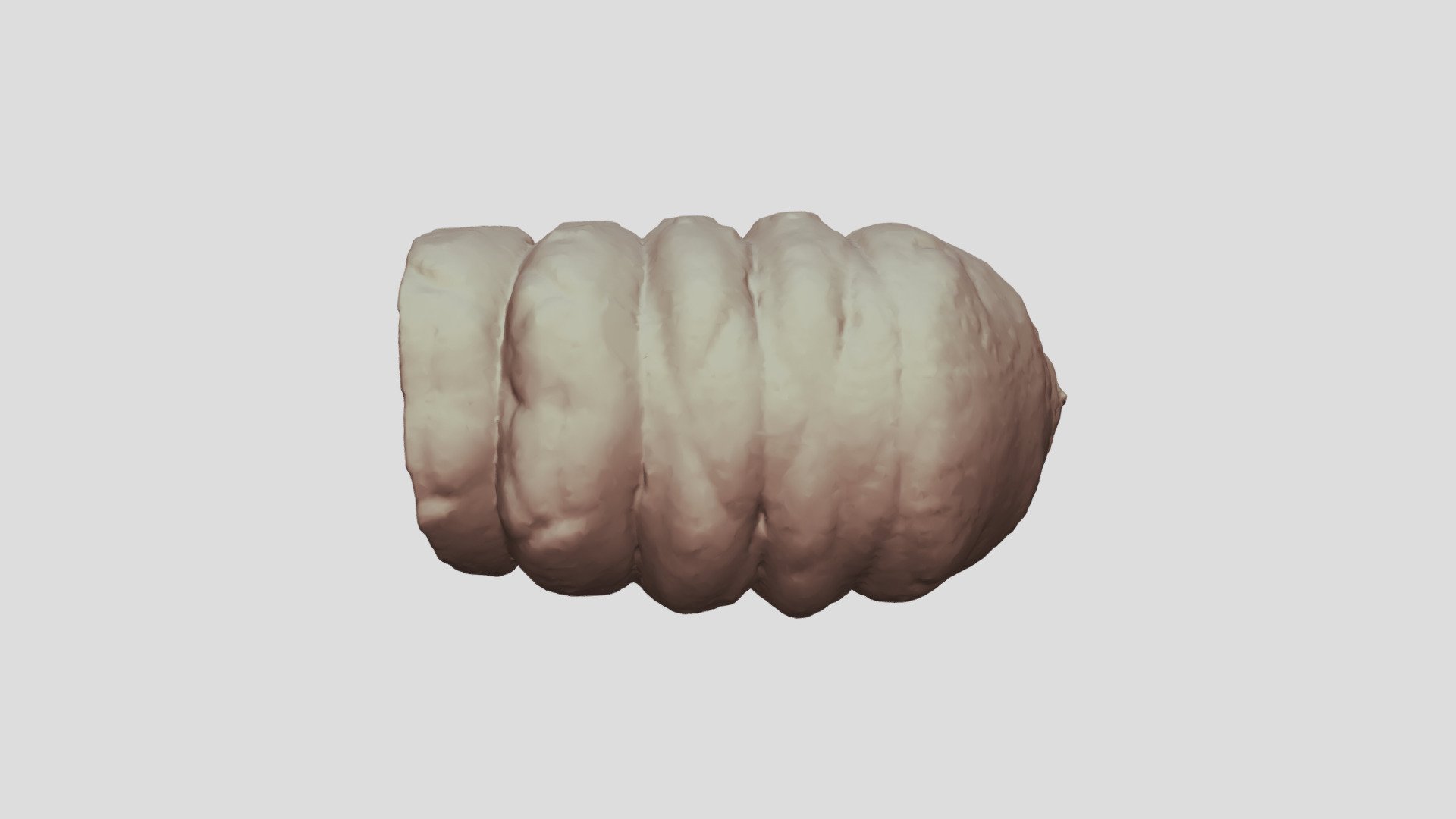 Cacosceles newmannii larva. Sample Nr30 — Sketchfab embed 3D viewer