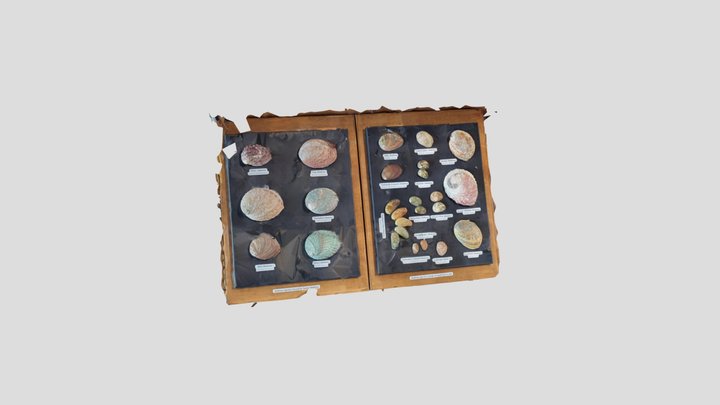 Shell Guide to Santa Barbara 3D Model