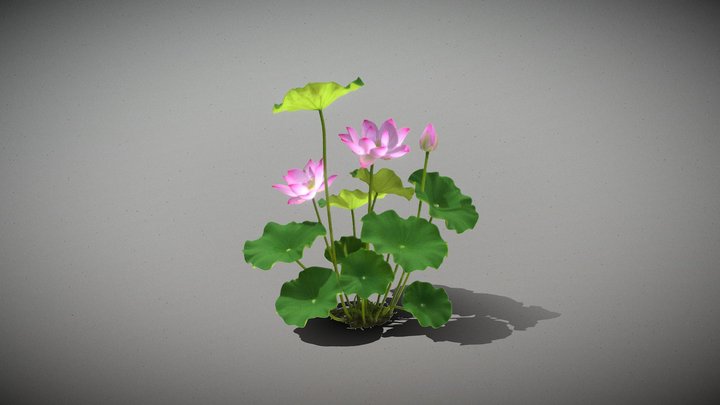 Pink Lotus Cluster_B