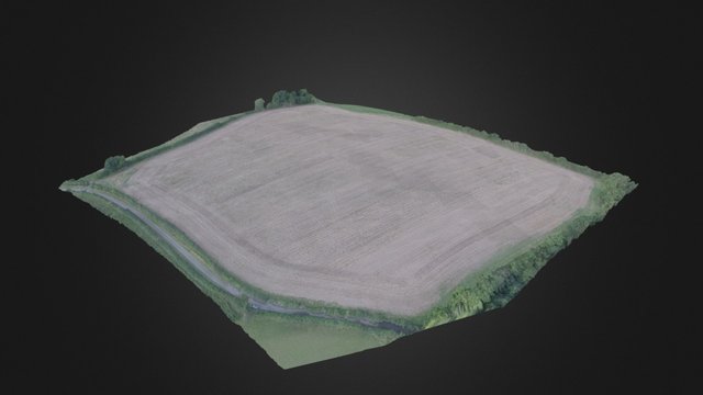 15-acre field, Butleigh Wootton, Somerset, UK 3D Model