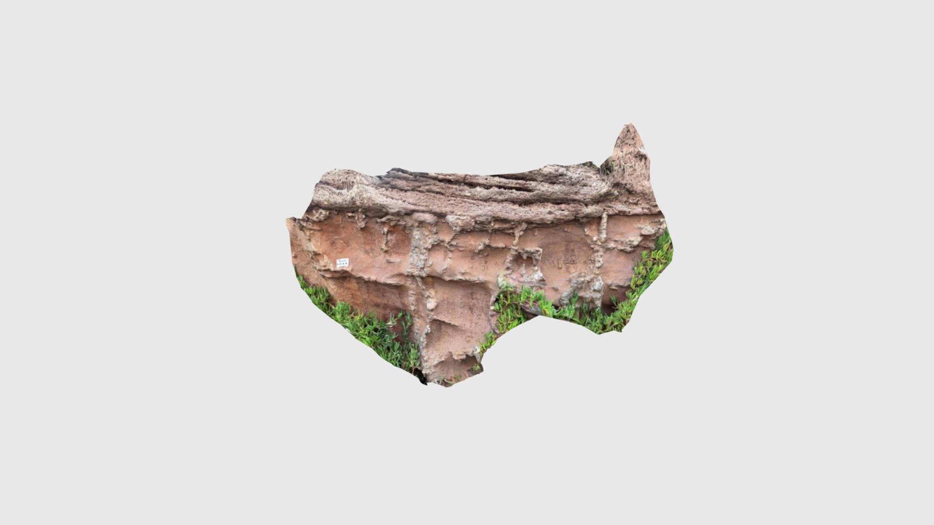 Triassic BS roots - Download Free 3D model by Safaridb [45e71a0 ...