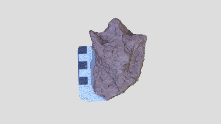 Modelo colección RICARDO – Modello 3D gratuito STL
