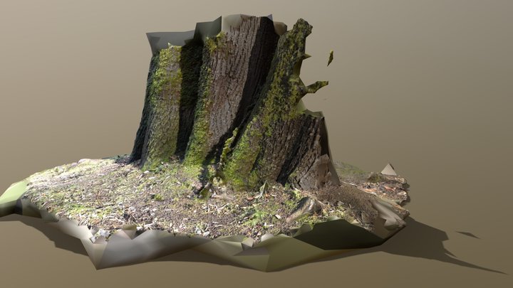 tree02 3D Model