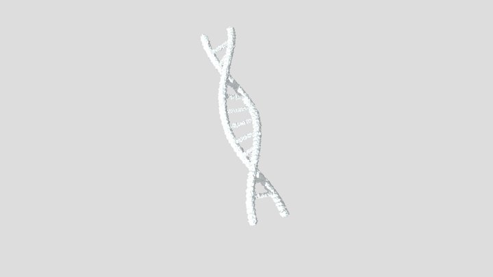 DNA 3D Model