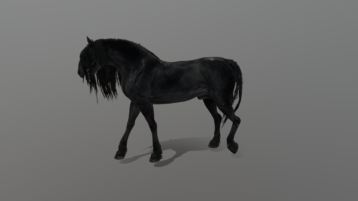 Nevermore walking 3D Model