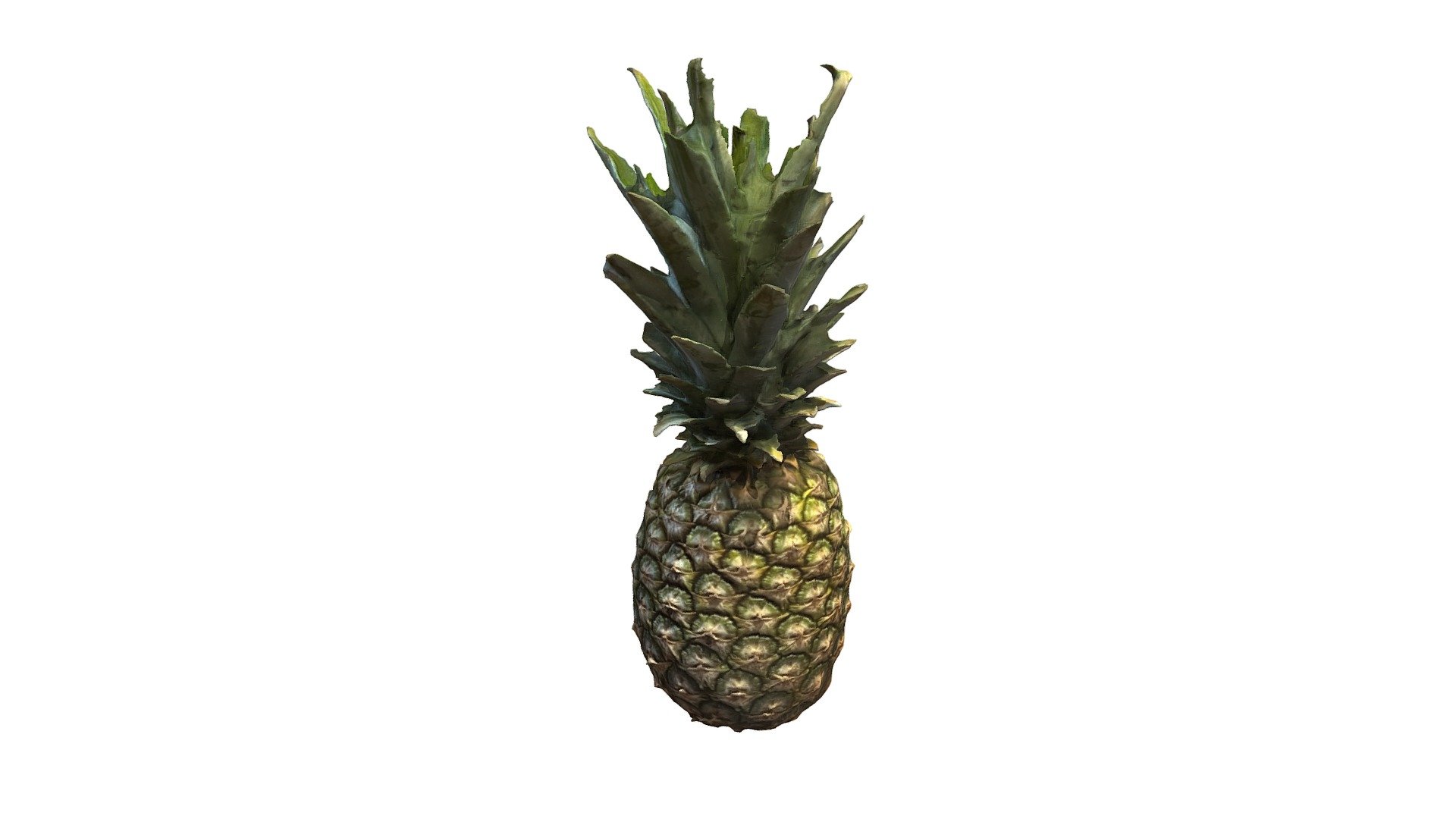 Ripe Pineapple - Download Free 3D model by Shyanne (@ssonnen000 ...