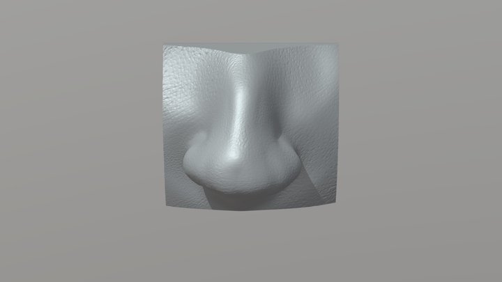 nose 3D Model