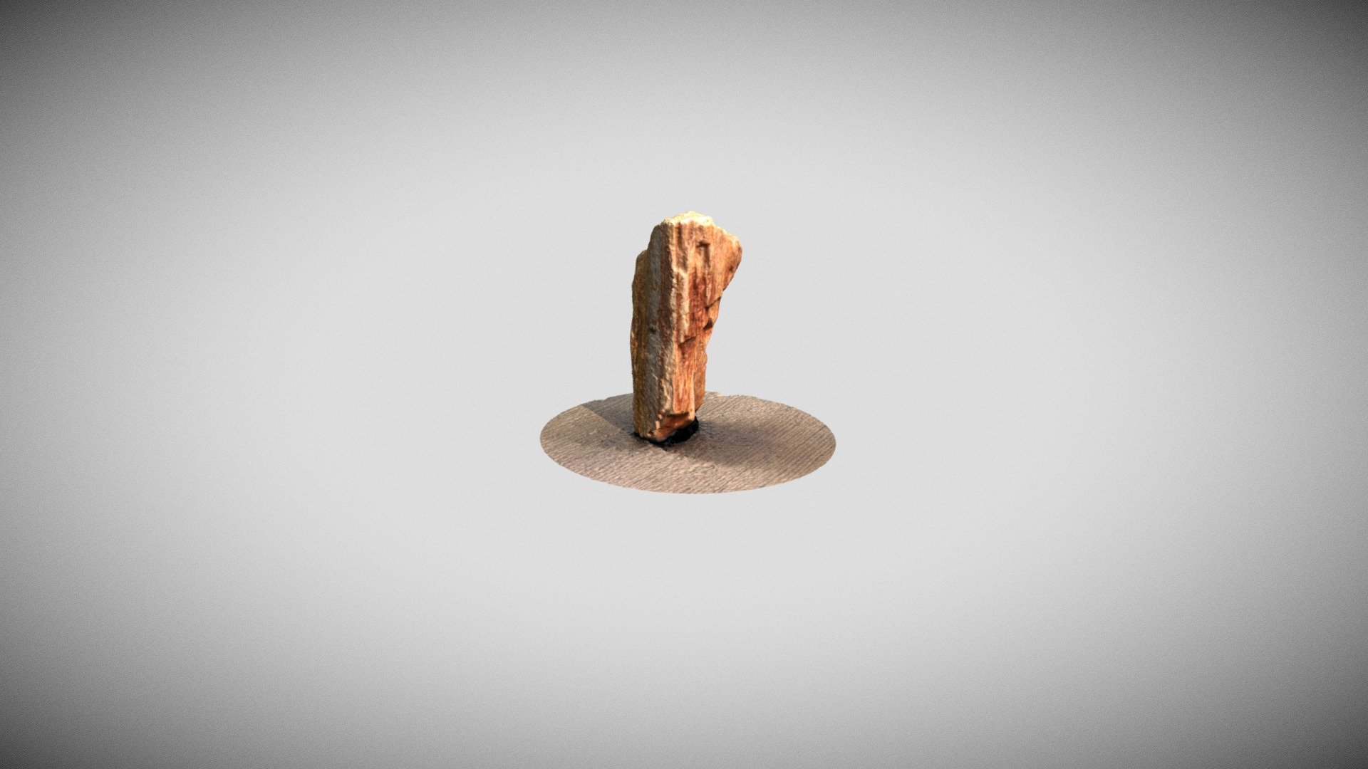 Petrified Wood photoscan