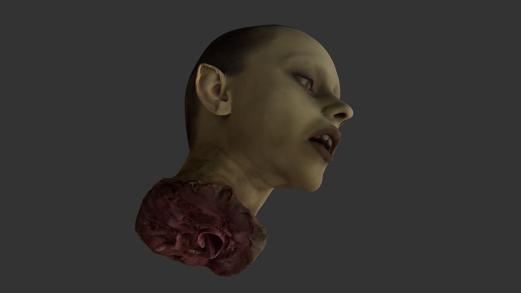 +18 GORE CONTENT Explorer of Worlds WIP-16