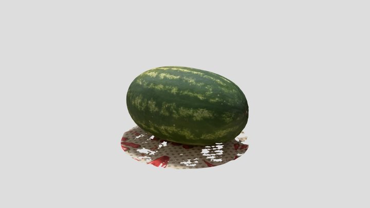 Watermelon 3D Model