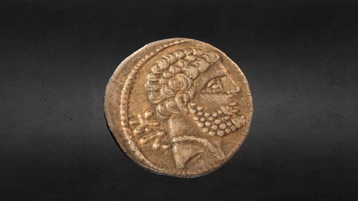 Iberian Coin 3D Model