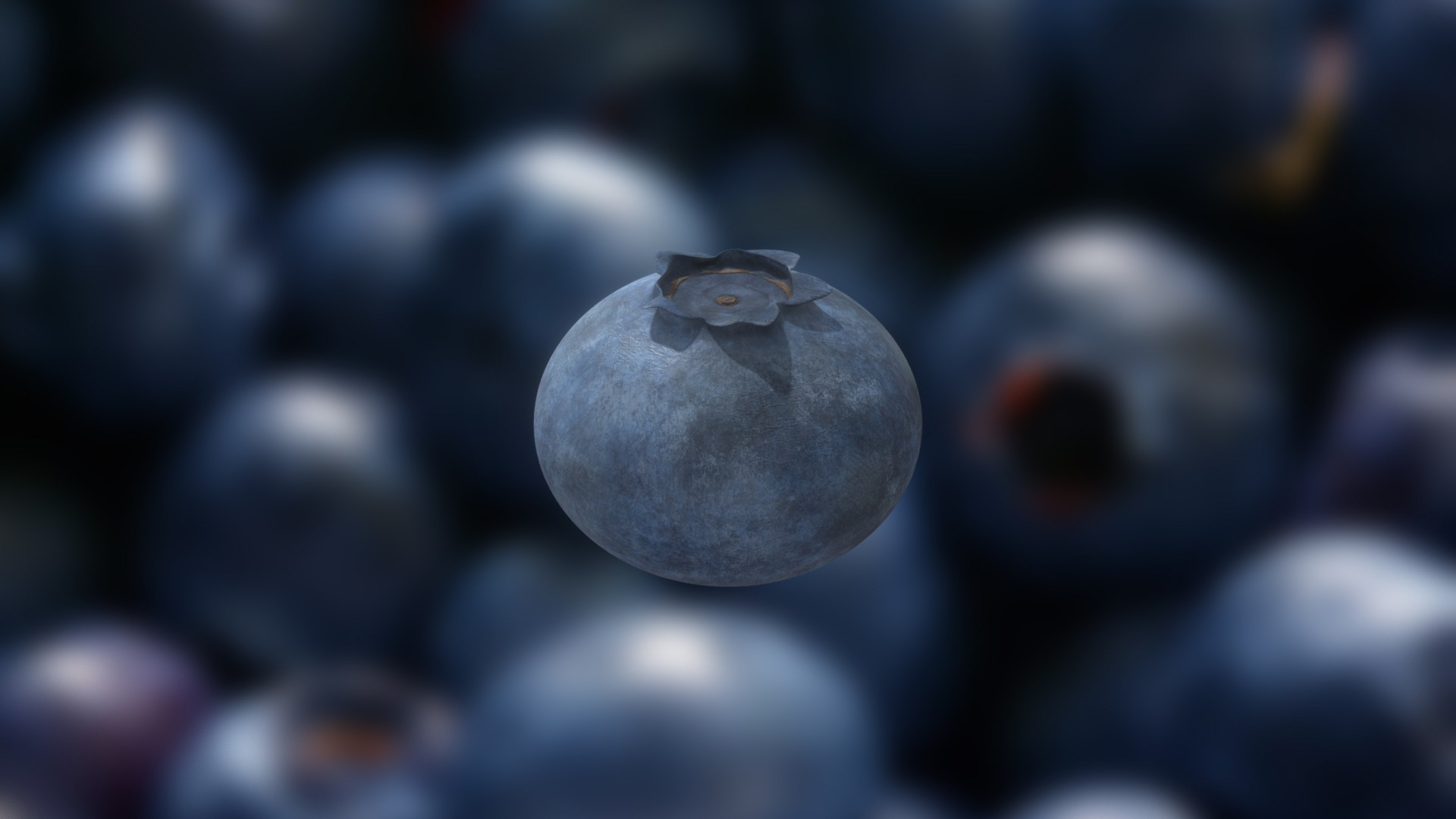 3D model Blueberry Single Lowpoly Model - This is a 3D model of the Blueberry Single Lowpoly Model. The 3D model is about a close up of a moon.