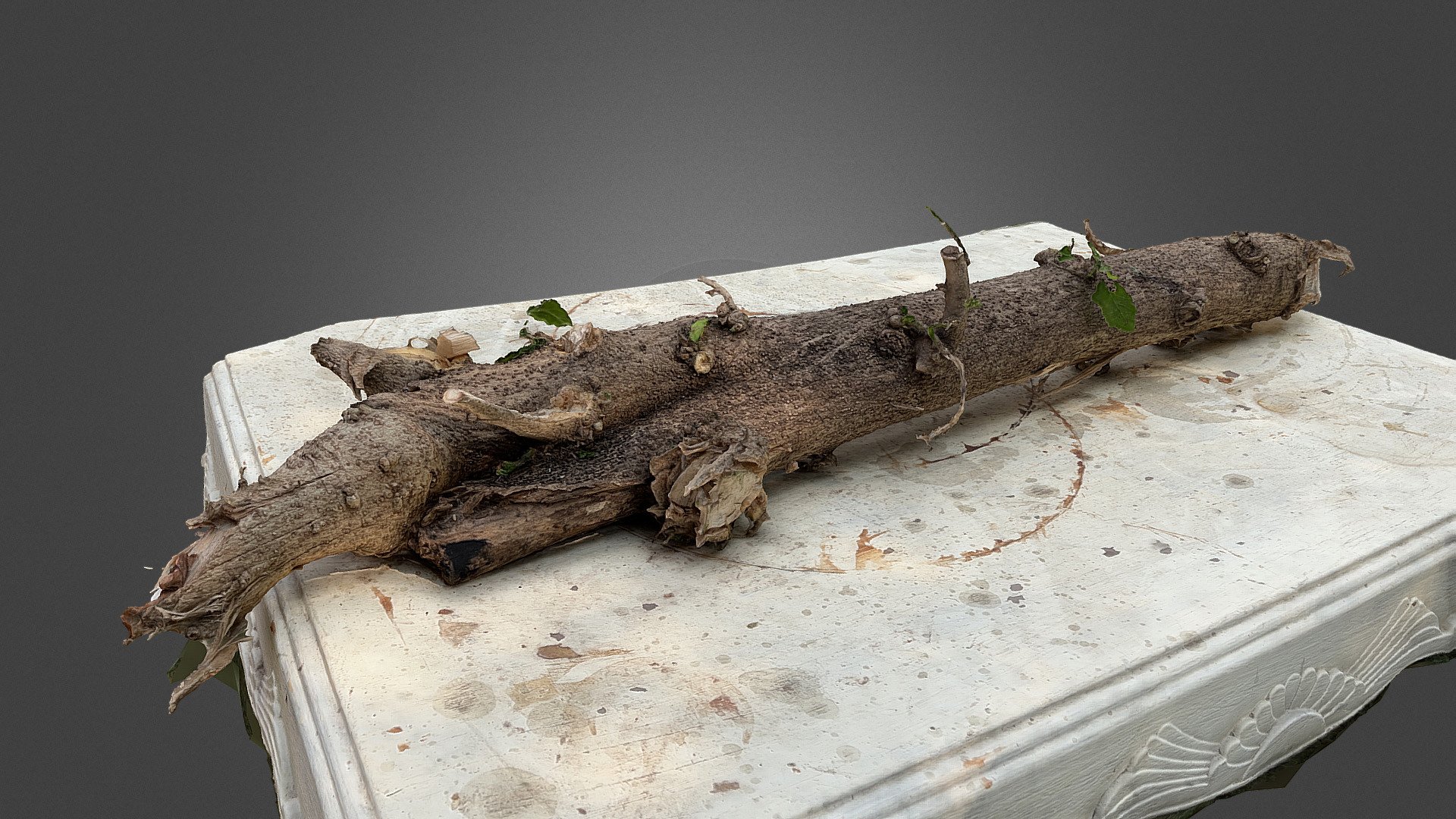 Trunk - 3D model by rough411 [460a14b] - Sketchfab