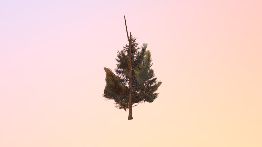 Tree(leaf) 001