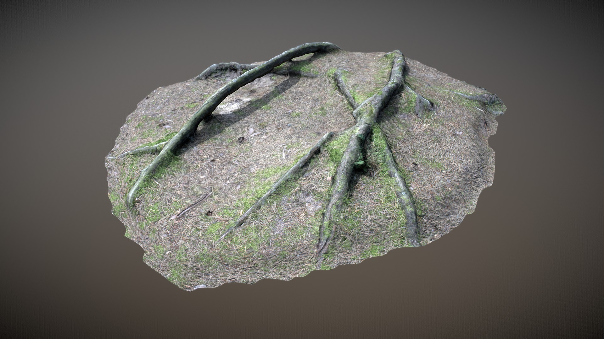 3D model Nature Forest Roots 006 - This is a 3D model of the Nature Forest Roots 006. The 3D model is about a satellite image of a landmass.
