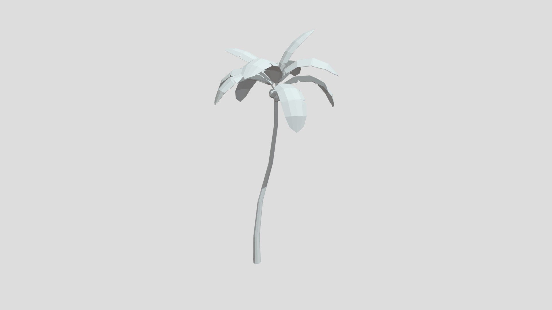 Coconut palm tree from Poly by Google